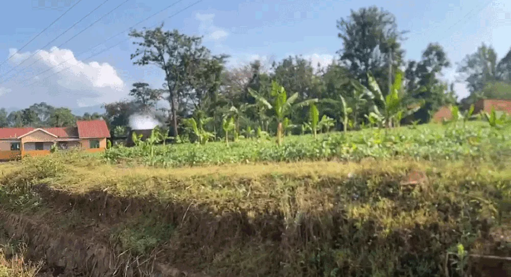 Prime Land in Lwakhakha on Uganda Kenya border